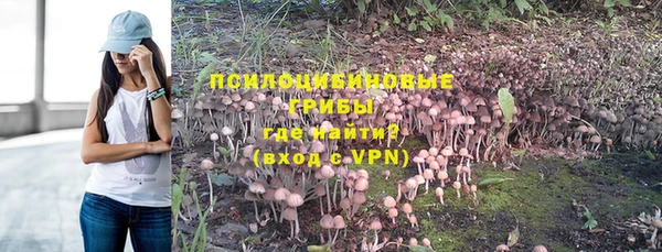 а пвп мука Богданович