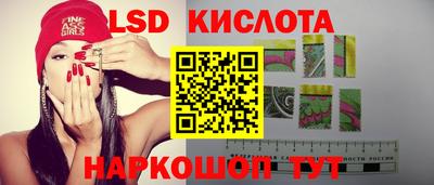 a pvp Гусев