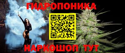 a pvp Гусев