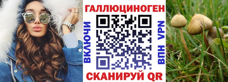 Галлюциногенные грибы MAGIC MUSHROOMS  Буйнакск 
