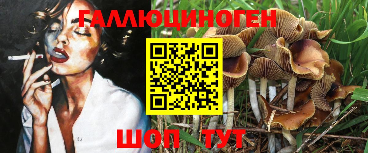 Псилоцибиновые грибы мухоморы Буйнакск